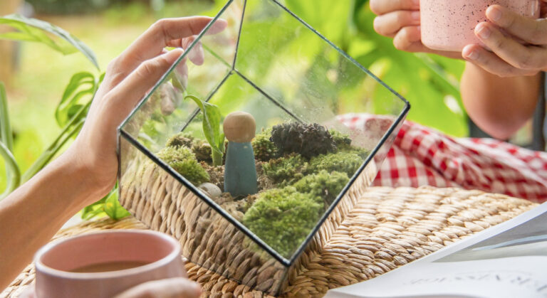 terrarium kit​
