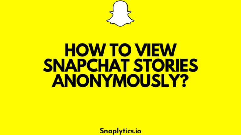 snap story viewer