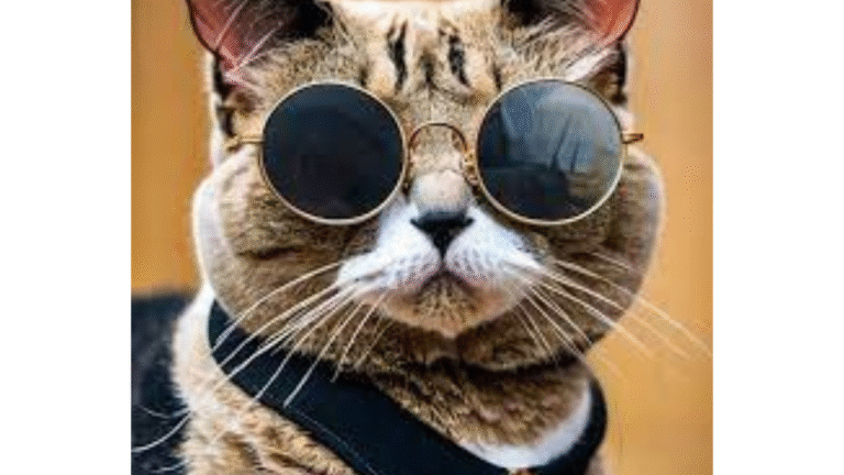 funny picture​